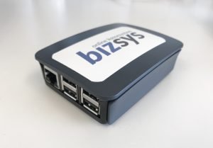 raspberry Raspberry Pi